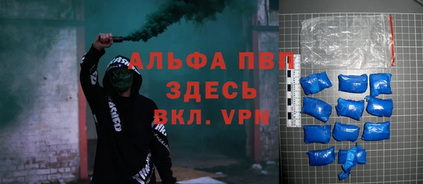 индика Алексеевка