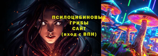 сатива Алексин