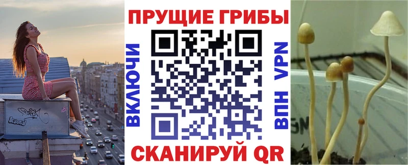 Галлюциногенные грибы MAGIC MUSHROOMS  shop какой сайт  Зеленоградск 